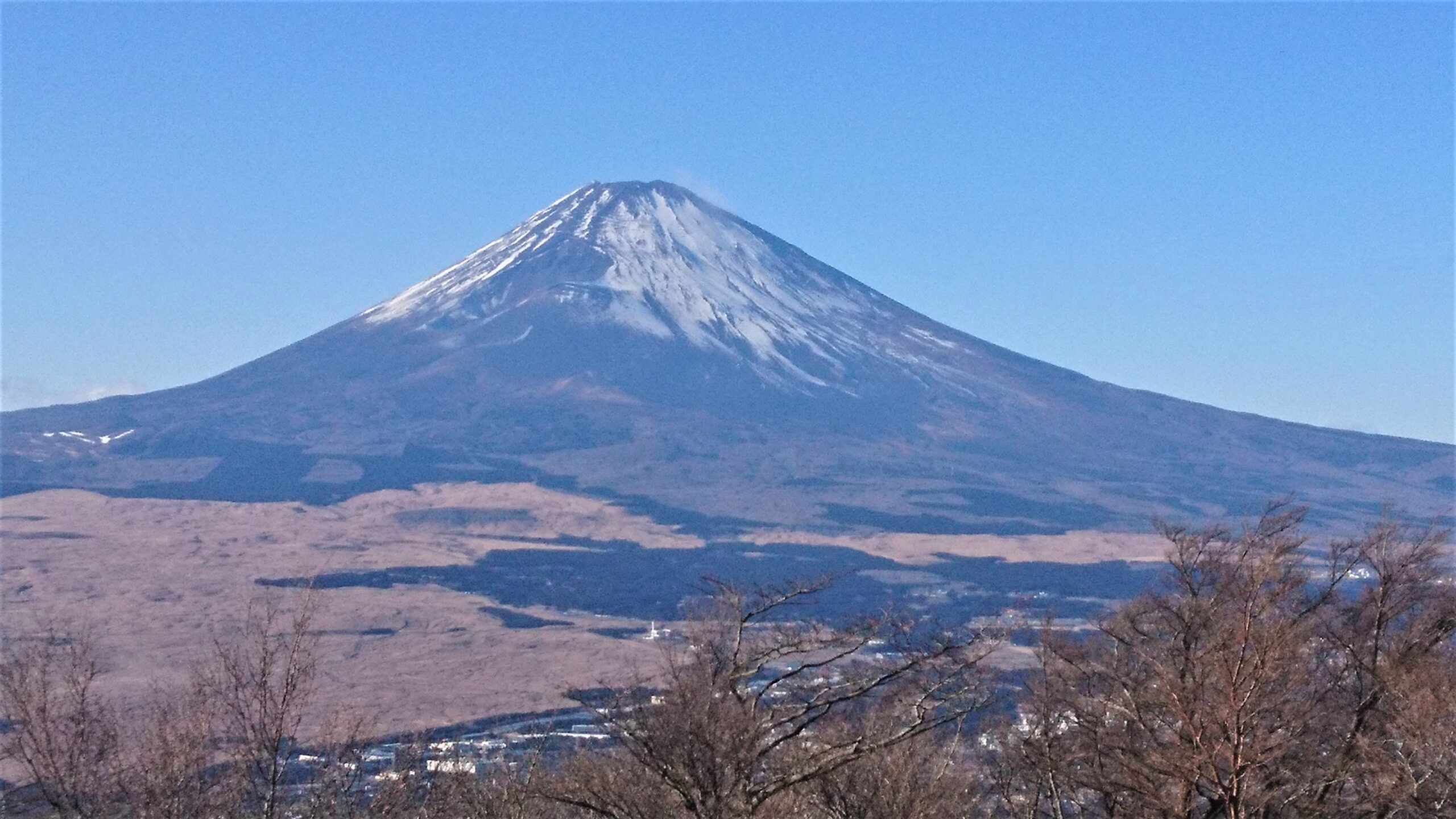 新規のお客様の事例紹介